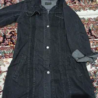 پالتوزنانه