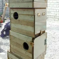 لانه عروس هلندی|لوازم جانبی حیوانات|میناب, |دیوار