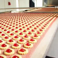 جذب نیروی جوان با انگیزه|استخدام صنعتی، فنی، مهندسی|اردبیل, |دیوار