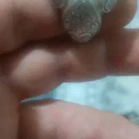 انگشتر نقره فیروزه کار دست قلم سیاه|جواهرات|تهران, باشگاه نفت|دیوار