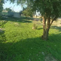 فروش-زمین-کشاورزی