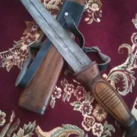 سالم تو عکس همه چیز مشخصه