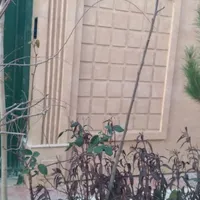 بنایی و لکه گیری ساختمان