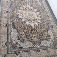 فرش 6متری نوی نو