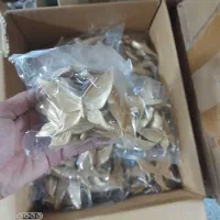 طوطی و پروانه و سرویس بهداشتی پلی استر رزین|مجسمه، تندیس، ماکت|ایذه, |دیوار