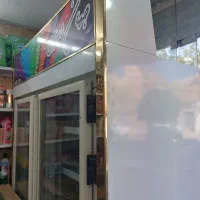 فریز ایستاده دو در فروشگاهی
