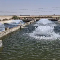 زمین کشاورزی|فروش زمین و ملک کلنگی|رودشت (اصفهان), |دیوار
