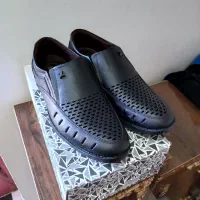 کفش چرمی|کیف، کفش، کمربند|اهر, |دیوار