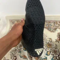 کتونی کشتی