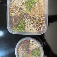 پروتئین بار|خوردنی و آشامیدنی|شیراز, چوگیاه‎|دیوار