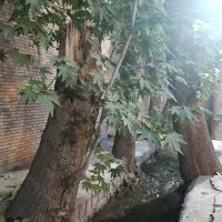 اجاره خونه باغ کوچک با آب روان|اجارهٔ کوتاهمدت ویلا و باغ|ماهان, |دیوار