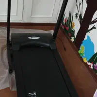 تردمیل|تجهیزات ورزشی|شاهین‌شهر, خانه کارگر|دیوار