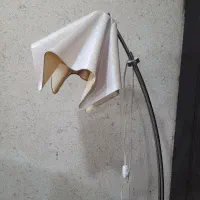 آباژور ایستاده