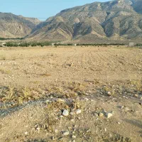 زمین-مناسب-باغ-شهری-کنار-آسفالت