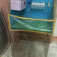 دوعدد قفس متوسط