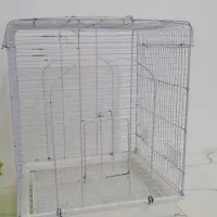 قفس مرغ عشق طوطی عروس