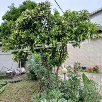 ویلایی-280-متری-فرصت-استثنایی-فول-امکانات
