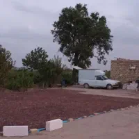 باغ انگور ۵۰۰۰ متر در تاکستان مسیر اک راه اسلک|فروش زمین و ملک کلنگی|تاکستان, |دیوار