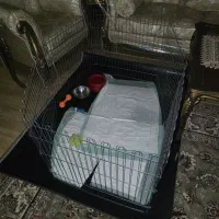فنس ۸ضلعی