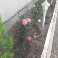 ویلایی-240-متر-بر-13-تاپ-لوکیشن