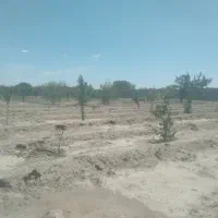 باغچه نقلی ویلایی ۳۷۰متر|فروش خانه و ویلا|شبستر, |دیوار