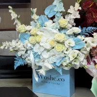 باکس ووشه