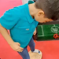 تخته بازی تعادلی