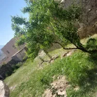خانه-روستایی-355متر-فروش-یا-معاوضه-با-خودرو