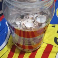 صدف|صنایع دستی و سایر لوازم تزئینی|اهواز, نادری|دیوار