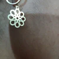 لنگه گوشواره گم شده
