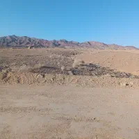 زمین چهار فرزندی شکراب