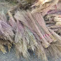 جارو نظافت|لوازم نظافت|روانسر, |دیوار