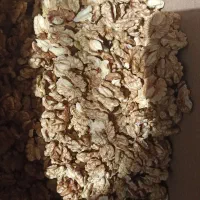مغز گردوی تازه سفید و چربی