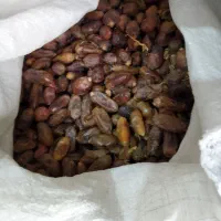 فروش20گونی‌کنگ‌خرما‌برای‌دام‌|لوازم جانبی حیوانات|صحرای باغ, |دیوار