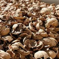 خریدار پوست گردو با بالا ترین قیمت