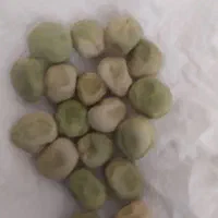 بذرنخود فرنگی