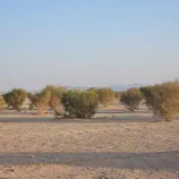 فروش زمین در حسن آباد چاه اب/تهاتر/ سرمایه گذاری|فروش زمین و ملک کلنگی|اصفهان, قهاب جنوبی|دیوار