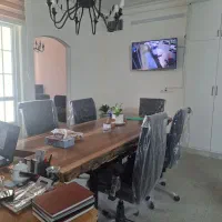 کار باگوشی
