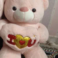 دوعدد خرس عروسکی بزرگ