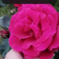 راهنمای برای پیدا کردن کار ووام فوری