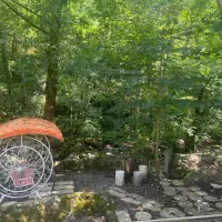 اجاره ویلا جنگلی استخر دارکد011 حیاط دلباز|اجارهٔ کوتاه‌مدت ویلا و باغ|شفت, |دیوار