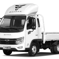 فروش کامیونت (فورس F38) تحویل فوری