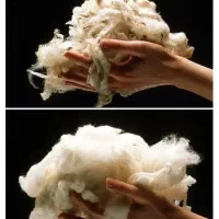 پشم گوسفندی