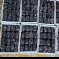 خرما مضافتی