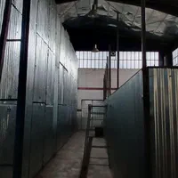 انبار در متراژ مختلف در مجتمع انبارداری|اجارهٔ دفتر صنعتی، کشاورزی، تجاری|شیراز, ده پیاله|دیوار