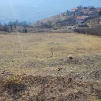 ۱۱۶۵ متر زمین در ارتفاعات سیدشت