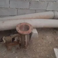 فروش خنزیره