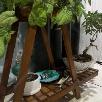 استند گلدان|گل و گیاه طبیعی|تهران, جنت‌آباد جنوبی|دیوار