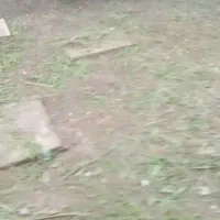 خدمات علف زنی، کود دهی و سمپاشی مزارع و باغات