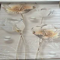 پرده زبرا سه بعدی